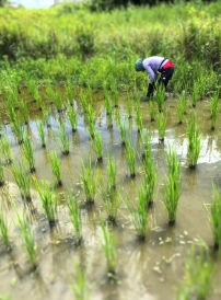 アクティビティの風景