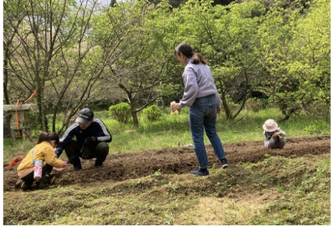 農業体験の画像