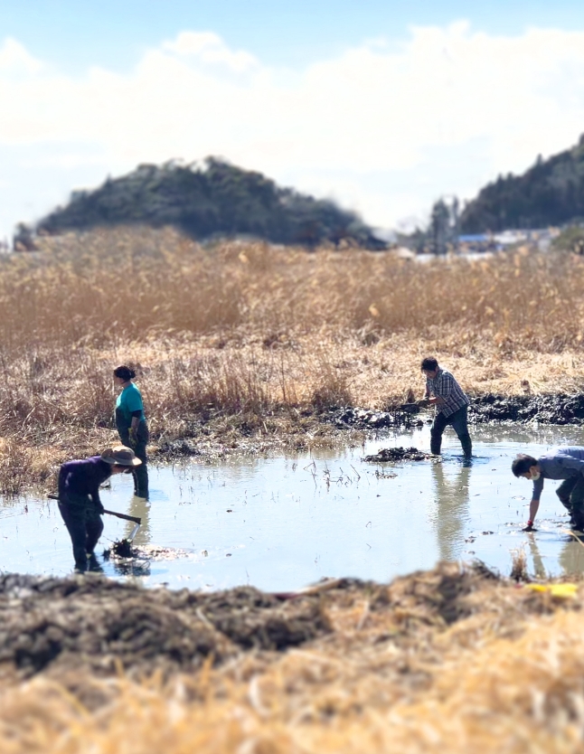 メインビジュアル